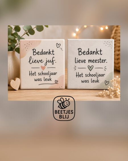 Tegeltje juf/meester